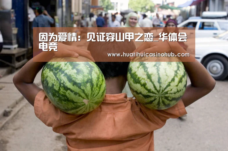 因为爱情:见证穿山甲之恋_华体会电竞(图1) 华体会竞猜