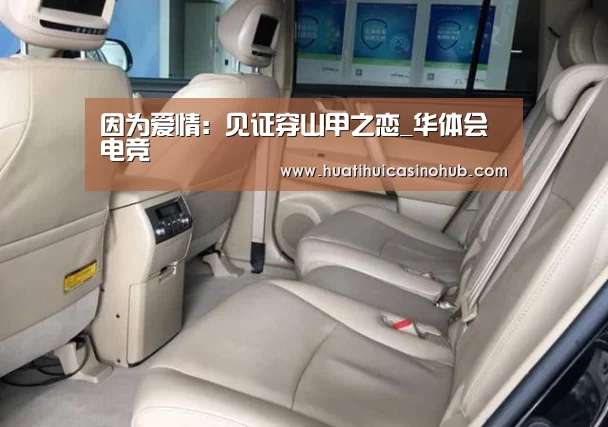 因为爱情:见证穿山甲之恋_华体会电竞(图2) 华体会娱乐