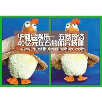 华体会娱乐