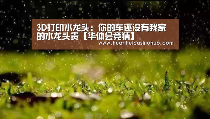 3D打印水龙头:你的车还没有我家的水龙头贵【华体会竞猜】(图2) 华体会娱乐