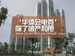 华体会娱乐
