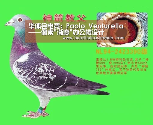华体会竞猜