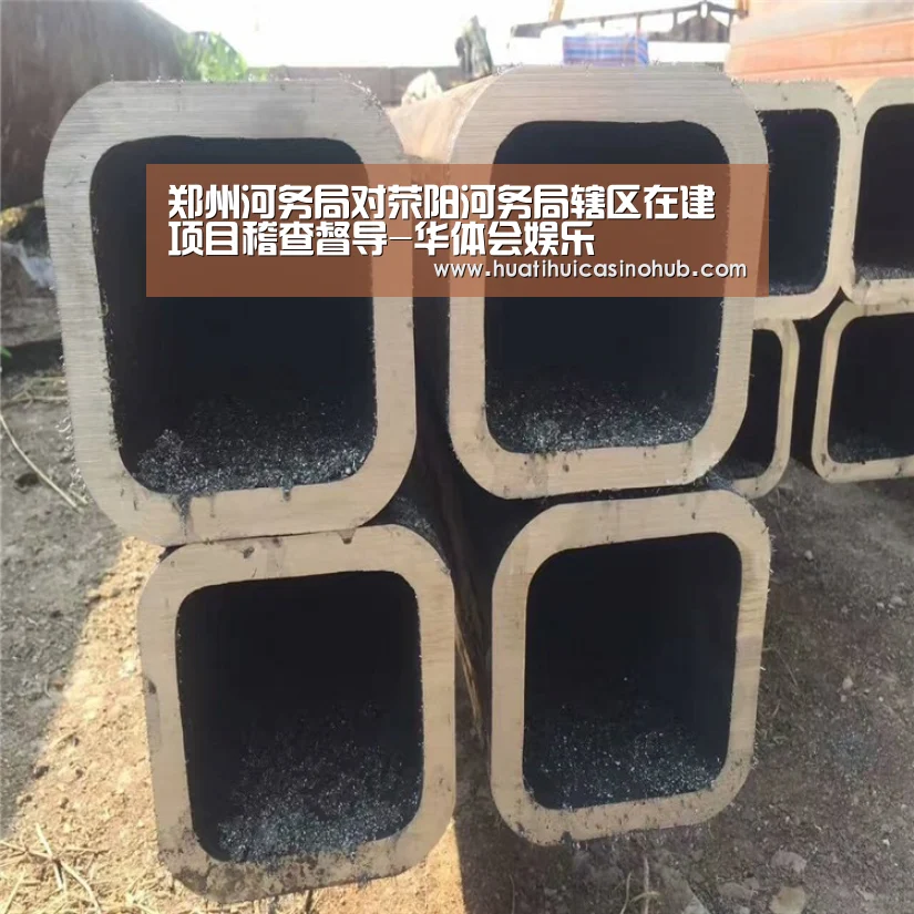 郑州河务局对荥阳河务局辖区在建项目稽查督导-华体会娱乐(图3) 华体会竞猜
