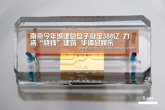 南京今年城建总盘子敲定388亿 力戒“烧钱”建筑-华体会娱乐(图1) 华体会竞猜