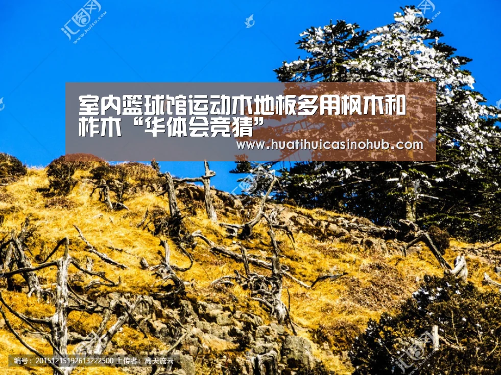 华体会真人